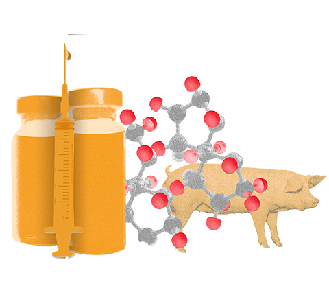 Bioiberica